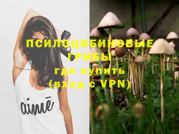 молекула духа Заволжск