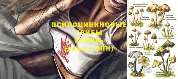 молекула духа Заволжск