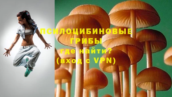 молекула духа Заволжск