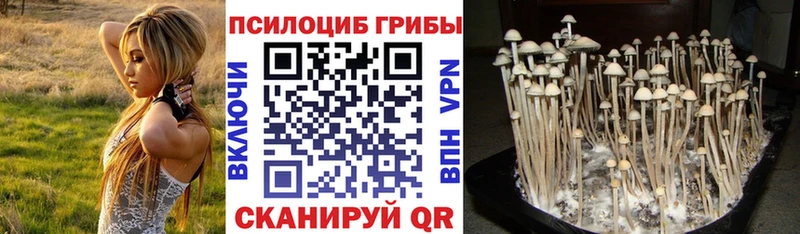 Купить закладки  Макаров  Галлюциногенные грибы мицелий 